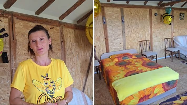 В специална стая за апитерапия: Учителка лекува с пчели