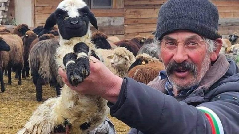 Нека дойдат, нека колят и убиват, ние вече сме съсипани!!!